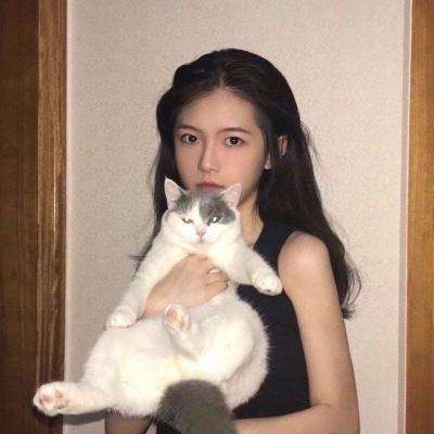 口袋进化精灵世界官方下载